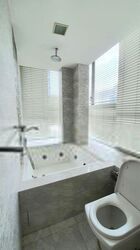 Angullia Park Residences @ Orchard (D10), Apartment #408302221
